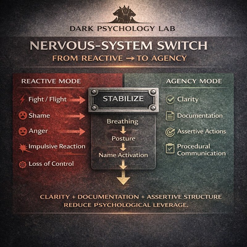 Infographic showing the nervous-system switch from helpless fight-or-flight reactions to agency through clarity, documentation, procedure, and professional support.