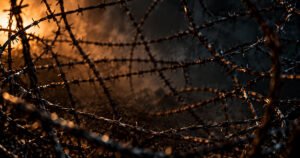 Tangled barbed wire symbolizing the restrictive and difficult-to-escape nature of a trauma bond